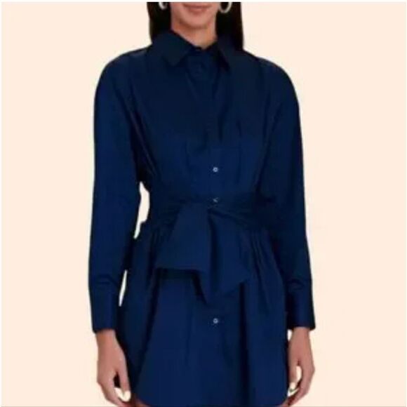 Intermix Fleur Tie-waist Shirt Mini Dress In Blue Size 6 - Picture 2 of 13